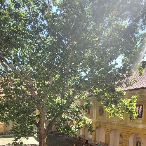 Návšteva kaštieľa