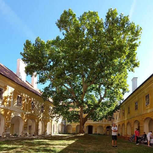 Návšteva kaštieľa
