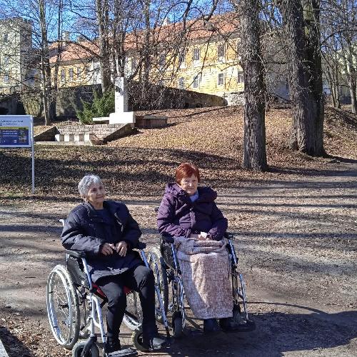 Kapustníky
