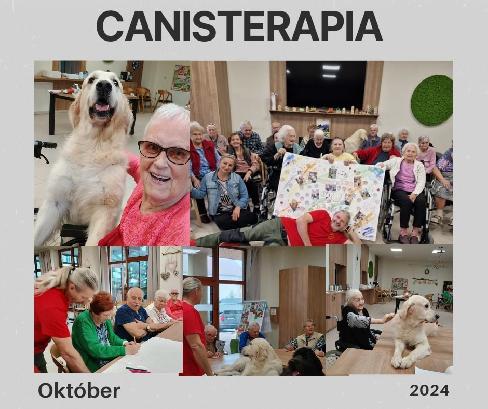 Aktivity v októbri 2024